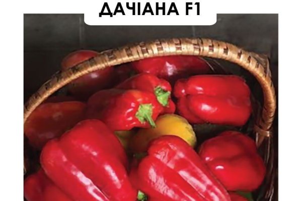 Кракена точка нет