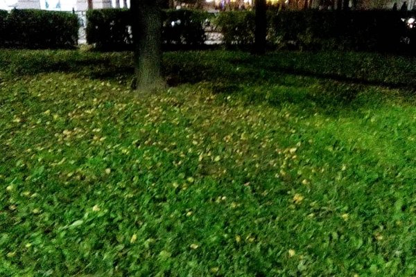 Даркнет ссылка
