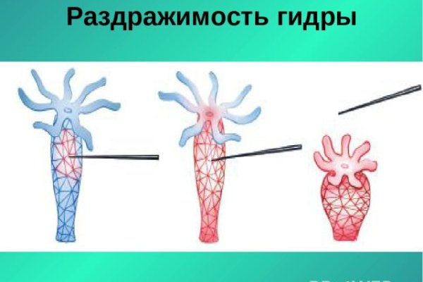 Кракен нов