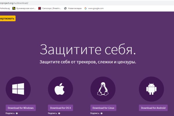 Актуальные ссылки кракен 2025